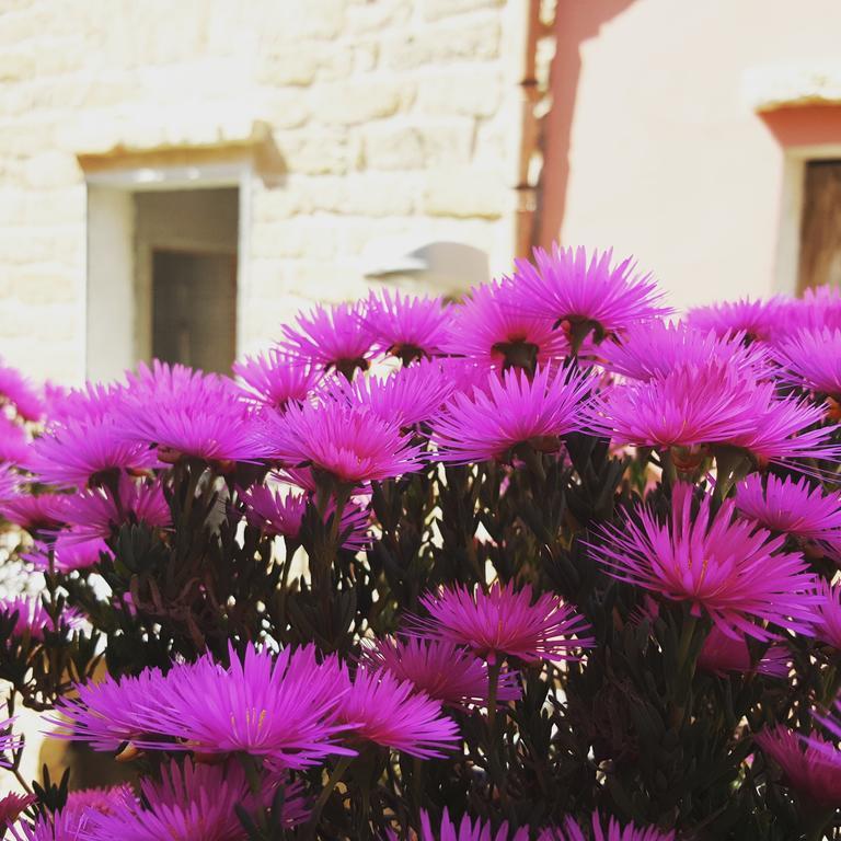 B&B Cinisi Vacanze Exterior foto